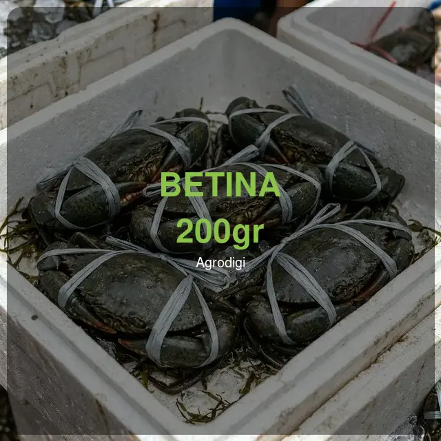 Kepiting Bakau Betina 200gr