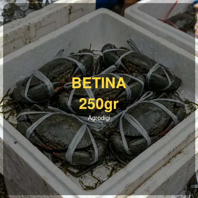 Kepiting Bakau Betina 250gr
