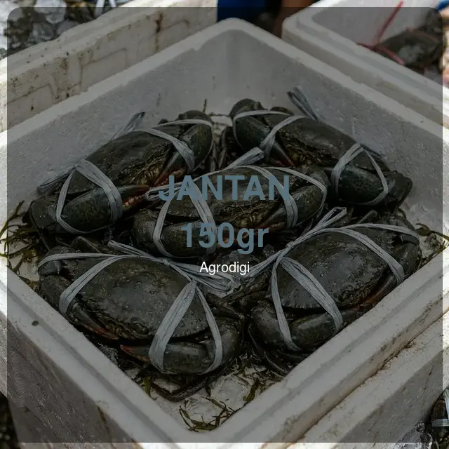 Kepiting Bakau Jantan 150gr