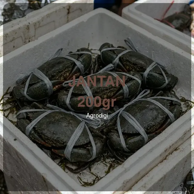 Kepiting Bakau Jantan 200gr
